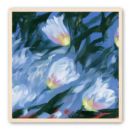 White tulips on blue ground