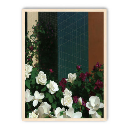 Roses against the blue grid