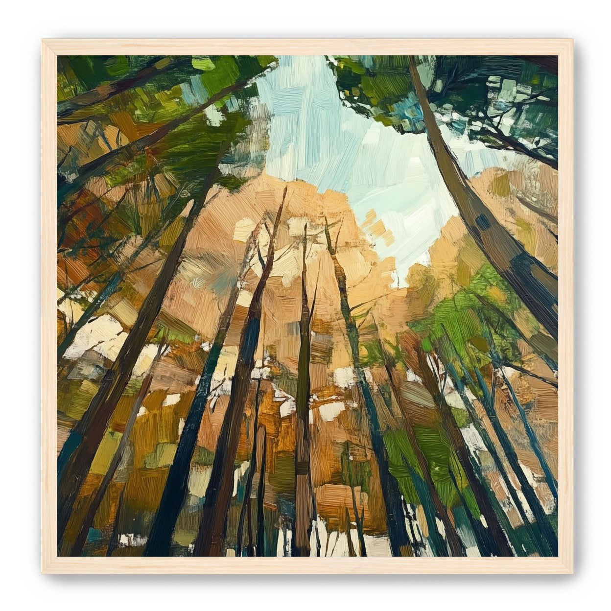 Canopy Lightfall