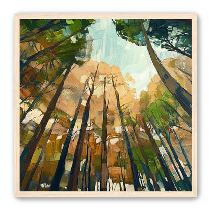 Canopy Lightfall