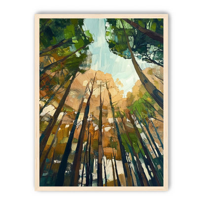 Canopy Lightfall