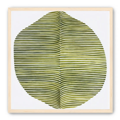 Dark green stripes crease inward