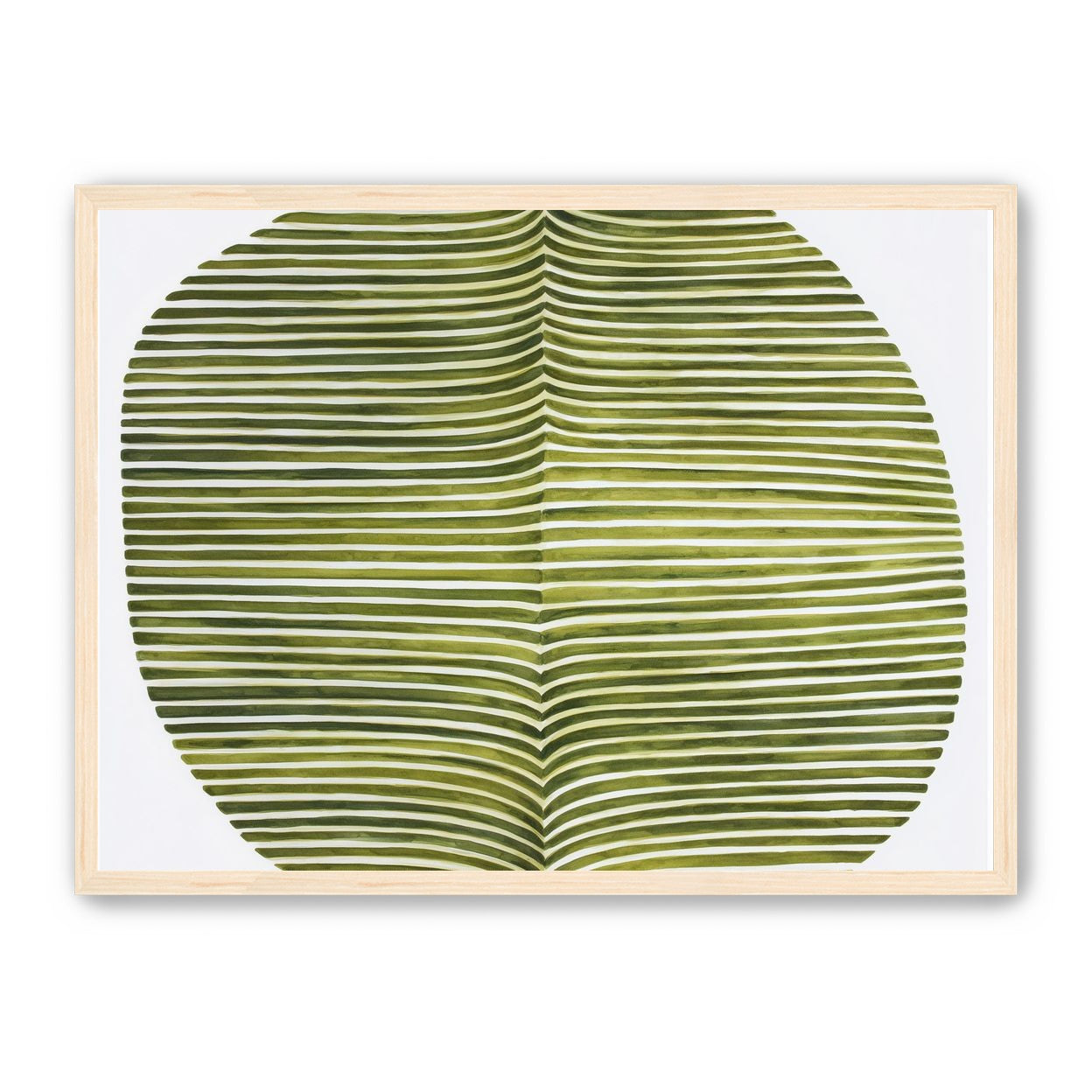 Dark green stripes crease inward