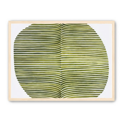 Dark green stripes crease inward