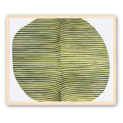 Dark green stripes crease inward
