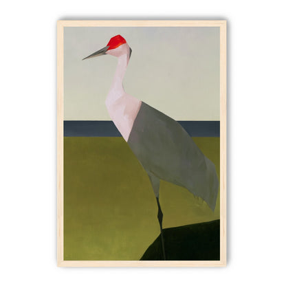 Red crown crane at the shore