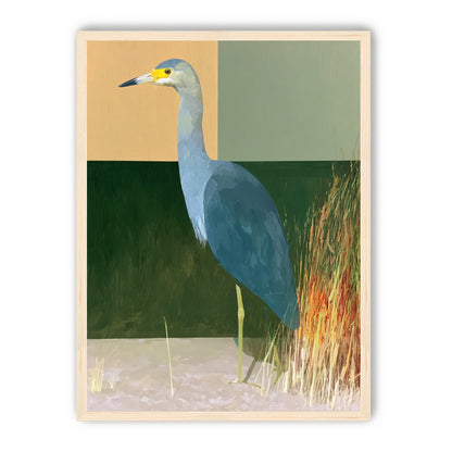 A heron beside the reeds