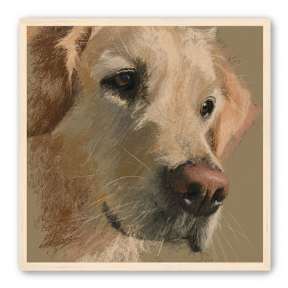 Warm fur in brown quietness