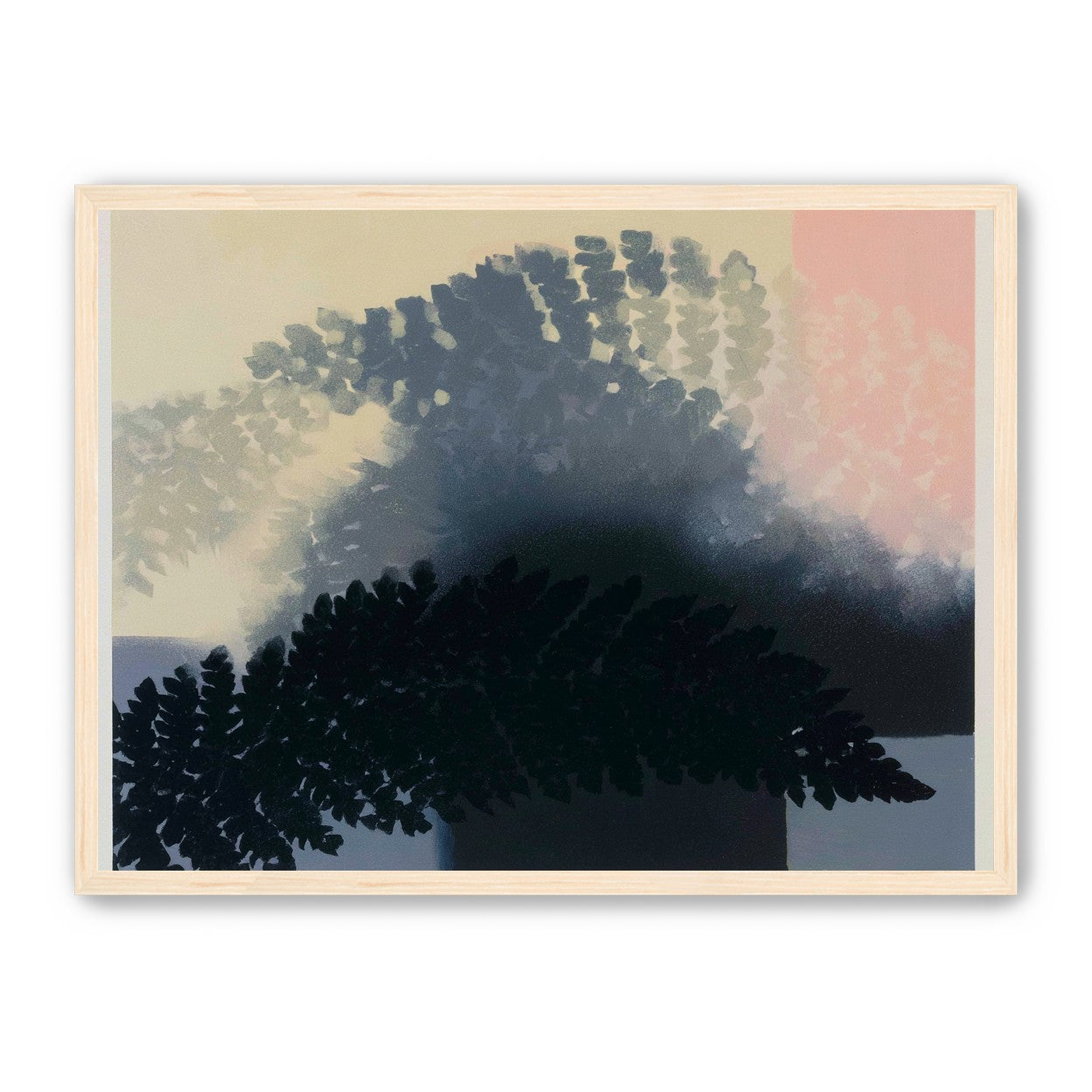 Tree shadow across the sky