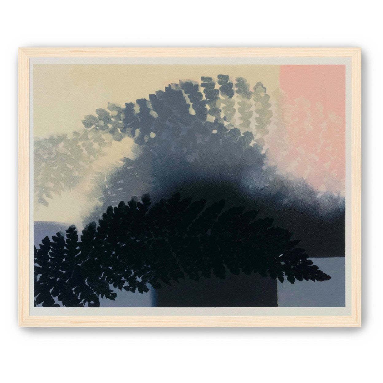 Tree shadow across the sky