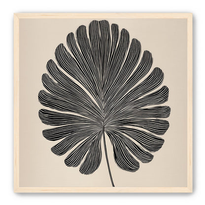Striped fan leaf alone