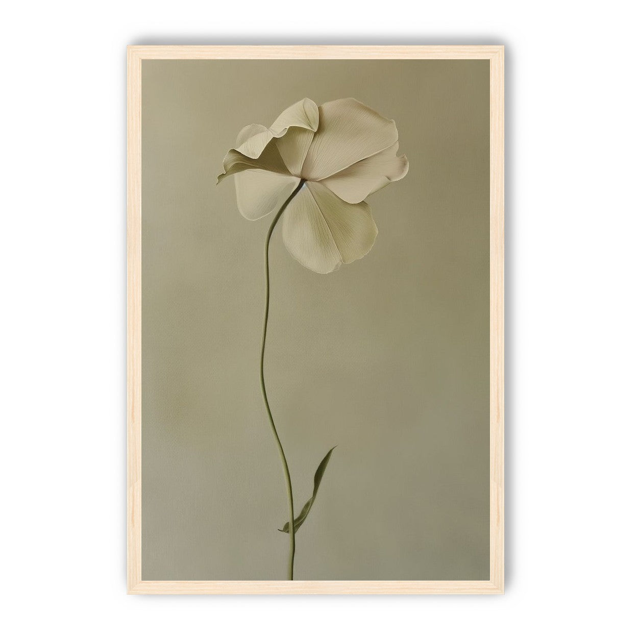 One flower leaning into quiet