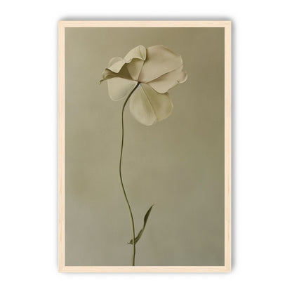 One flower leaning into quiet