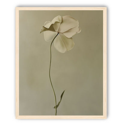 One flower leaning into quiet