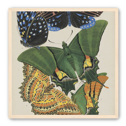 Butterflies on a pale plate