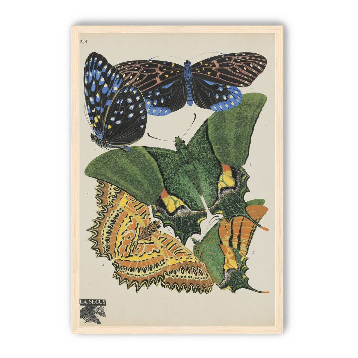 Butterflies on a pale plate