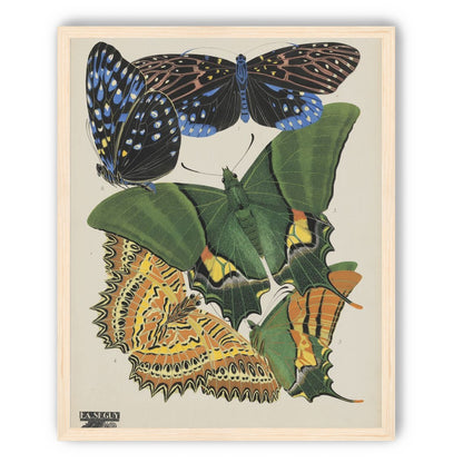 Butterflies on a pale plate