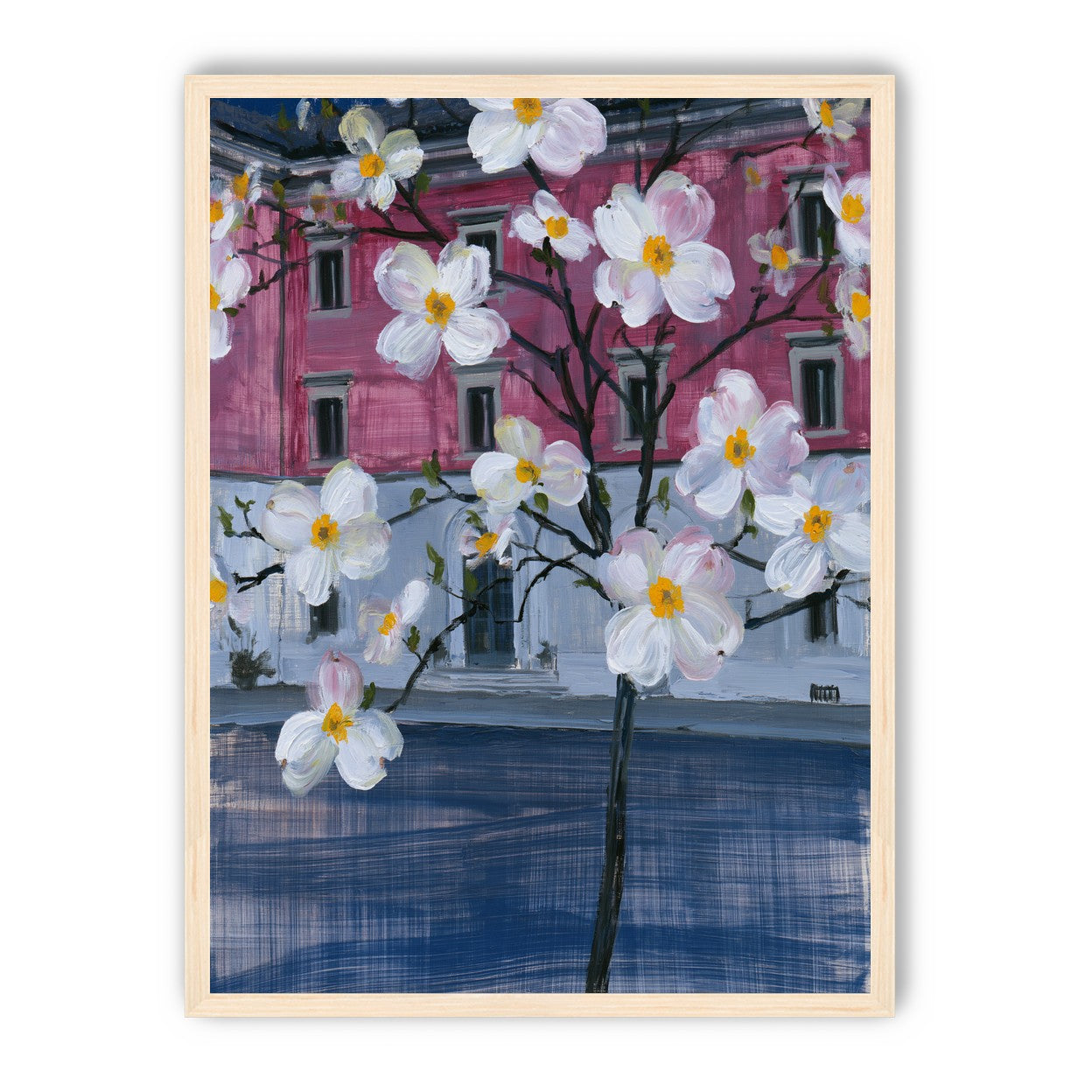 White blossoms over the pink house