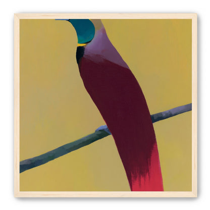 A bright bird on yellow