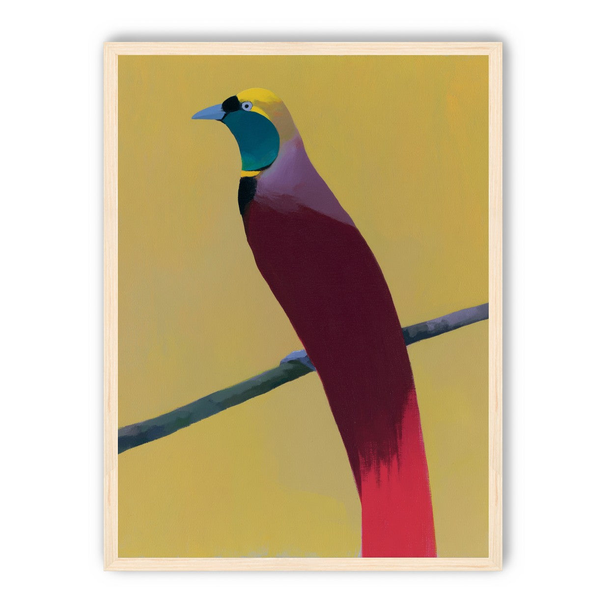 A bright bird on yellow