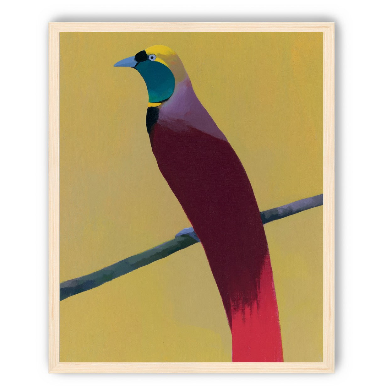 A bright bird on yellow