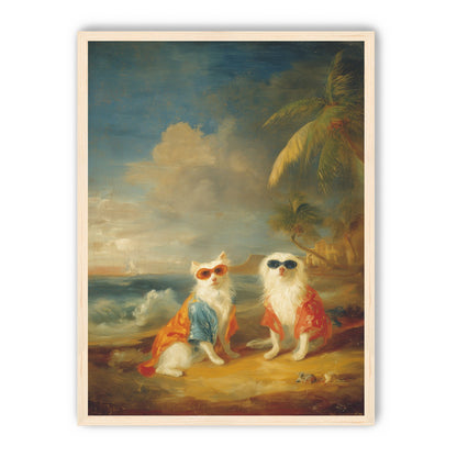 Sunglasses cats on the beach