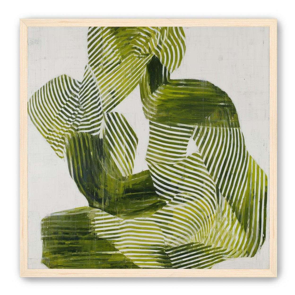 Olive stripes in repose