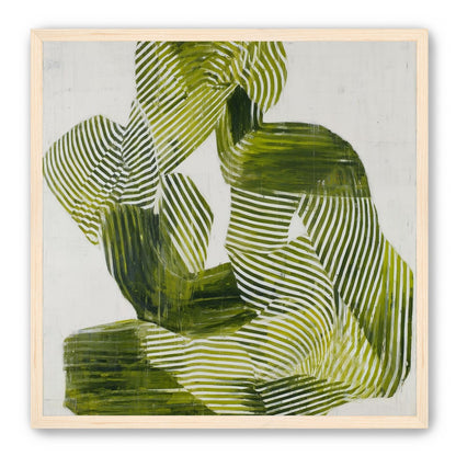 Olive stripes in repose