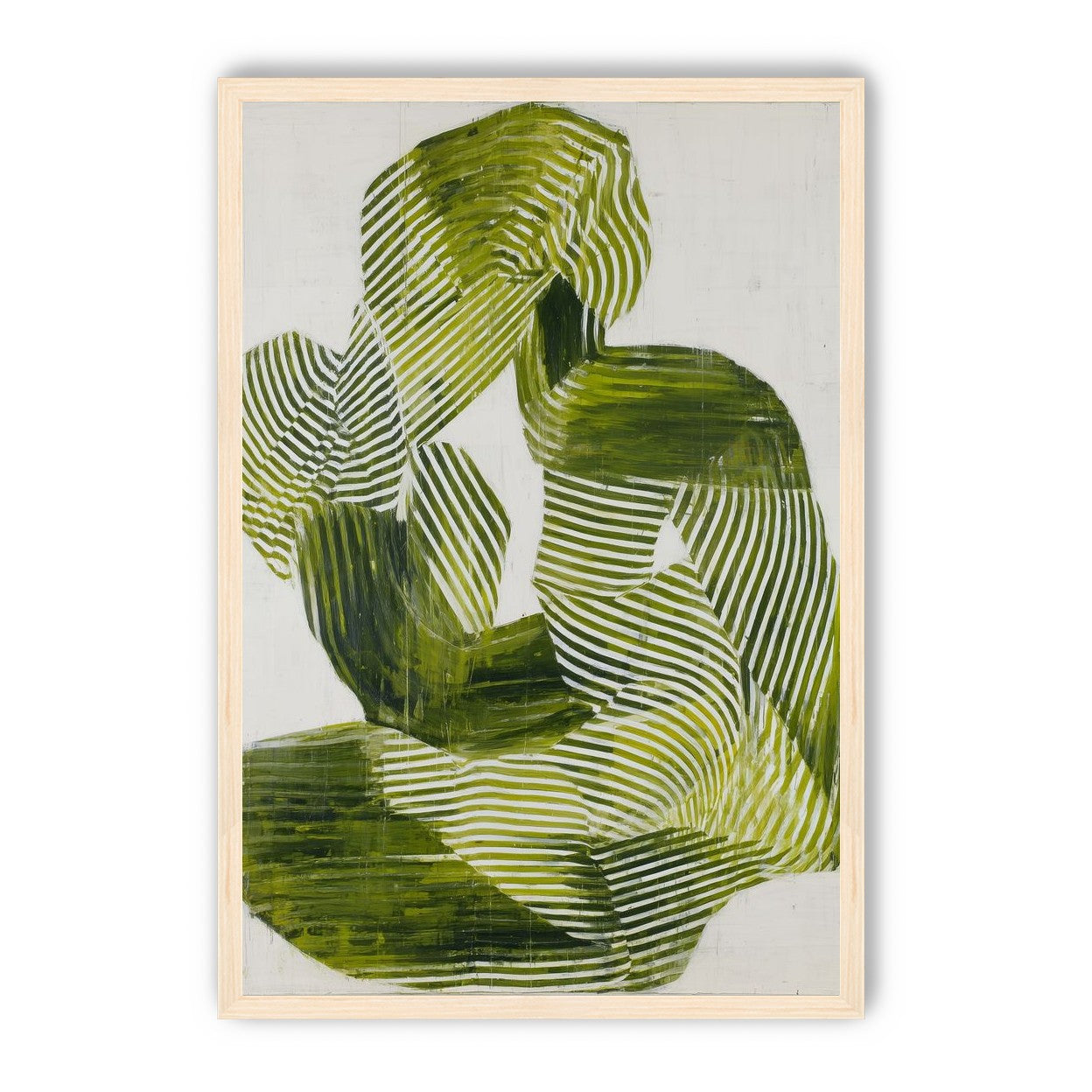 Olive stripes in repose