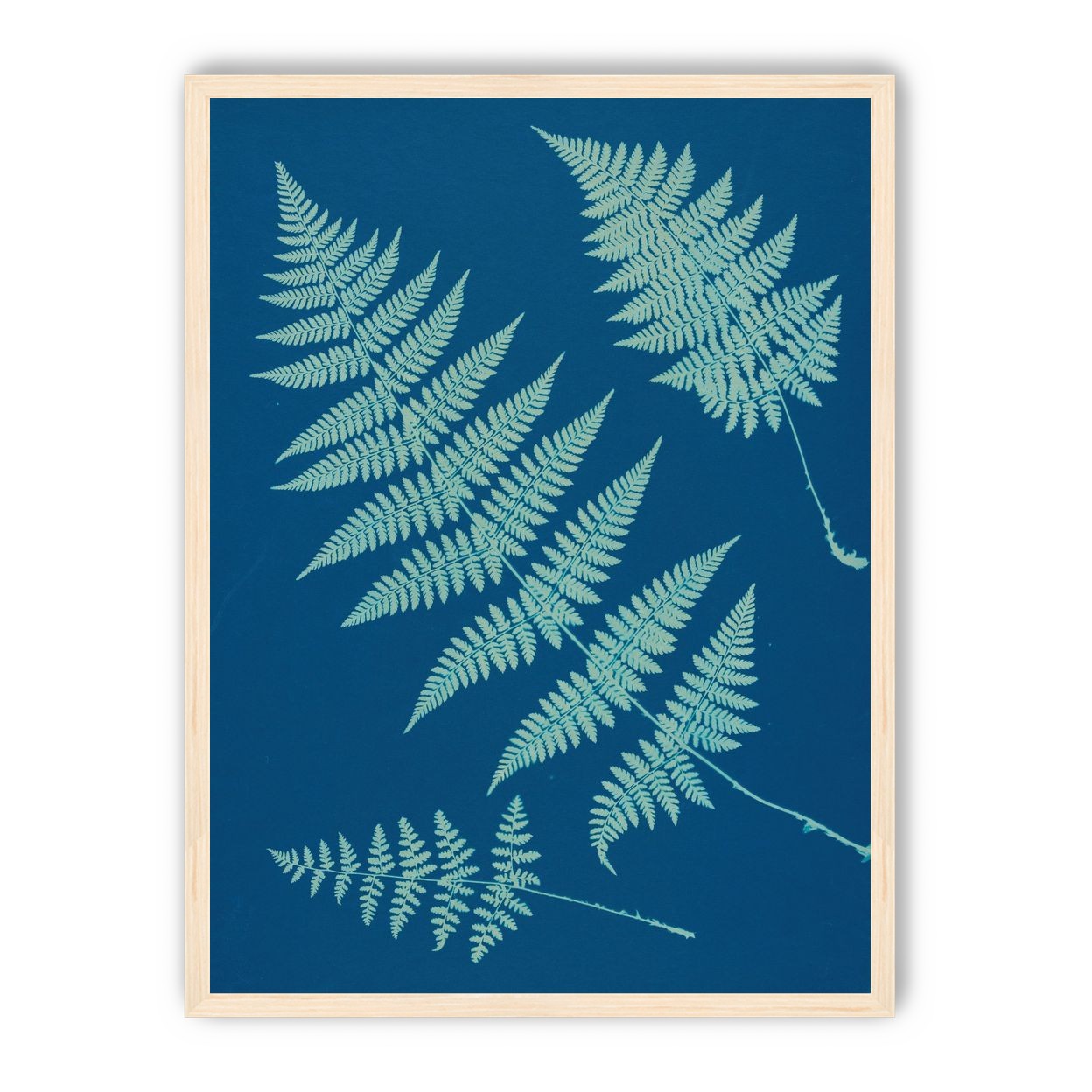 Pale ferns in deep blue