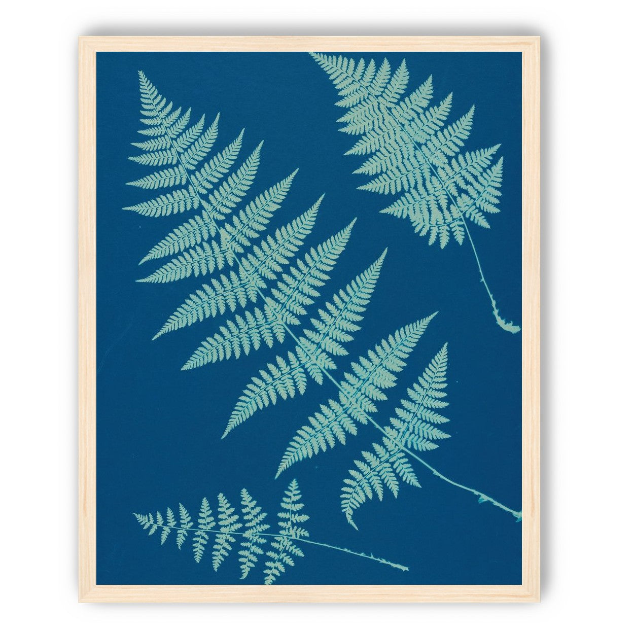 Pale ferns in deep blue