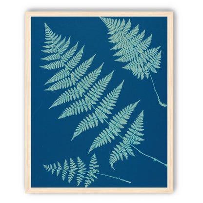 Pale ferns in deep blue