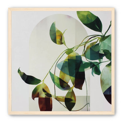 Leaves in a pale halo