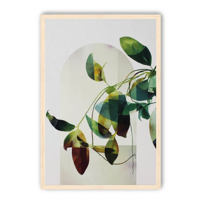 Leaves in a pale halo
