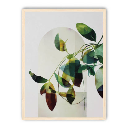 Leaves in a pale halo