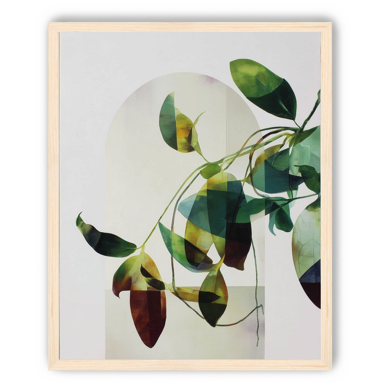 Leaves in a pale halo