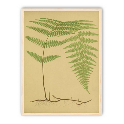 Green frond on tan paper