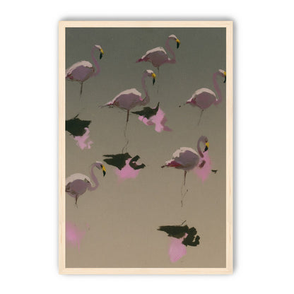 Flamingos in still water