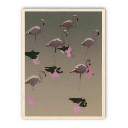 Flamingos in still water