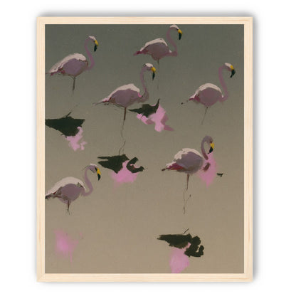 Flamingos in still water