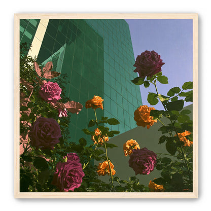 Roses climbing the glass wall