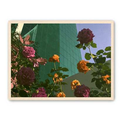 Roses climbing the glass wall