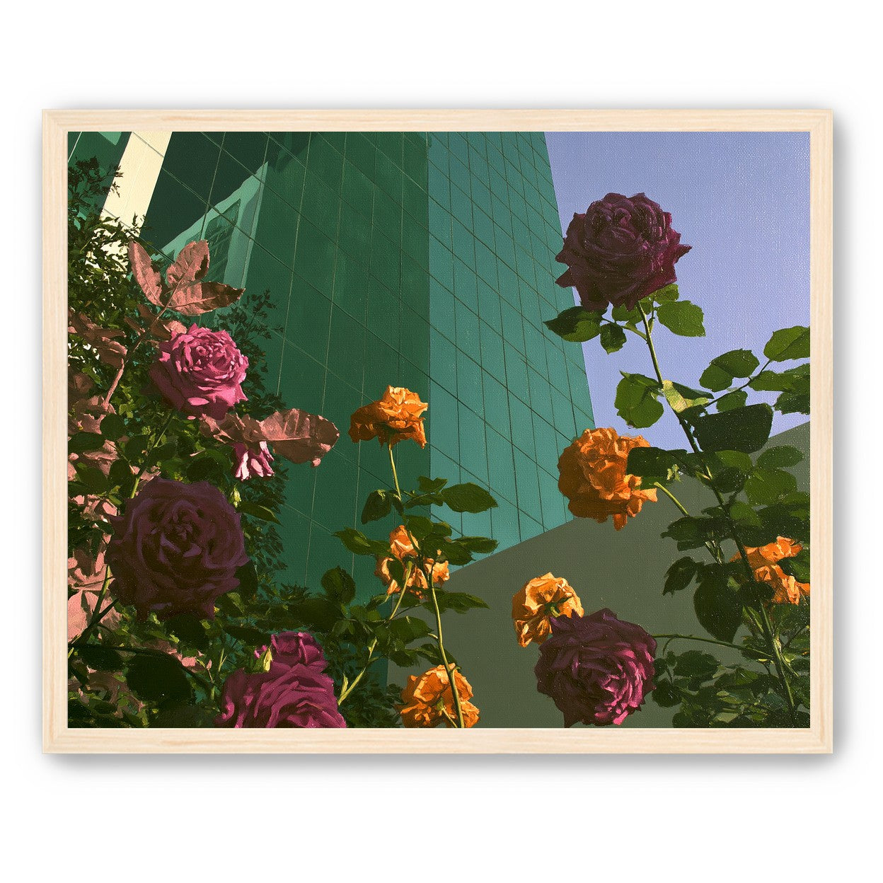 Roses climbing the glass wall