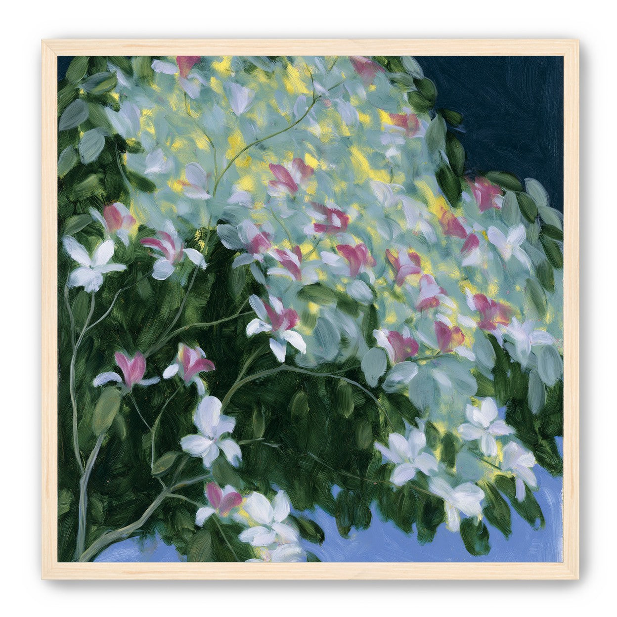 Blossoms across the night sky