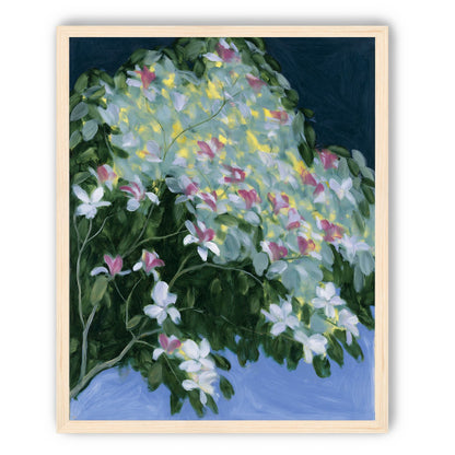 Blossoms across the night sky