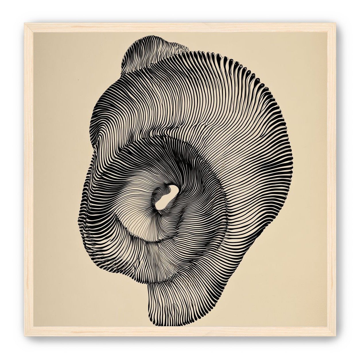 A hollow within black lines