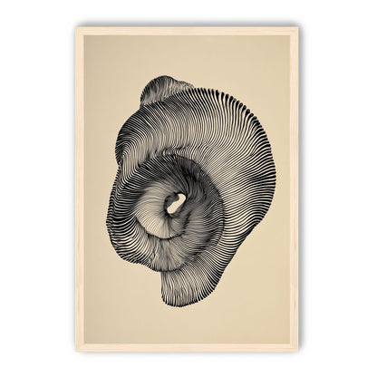 A hollow within black lines