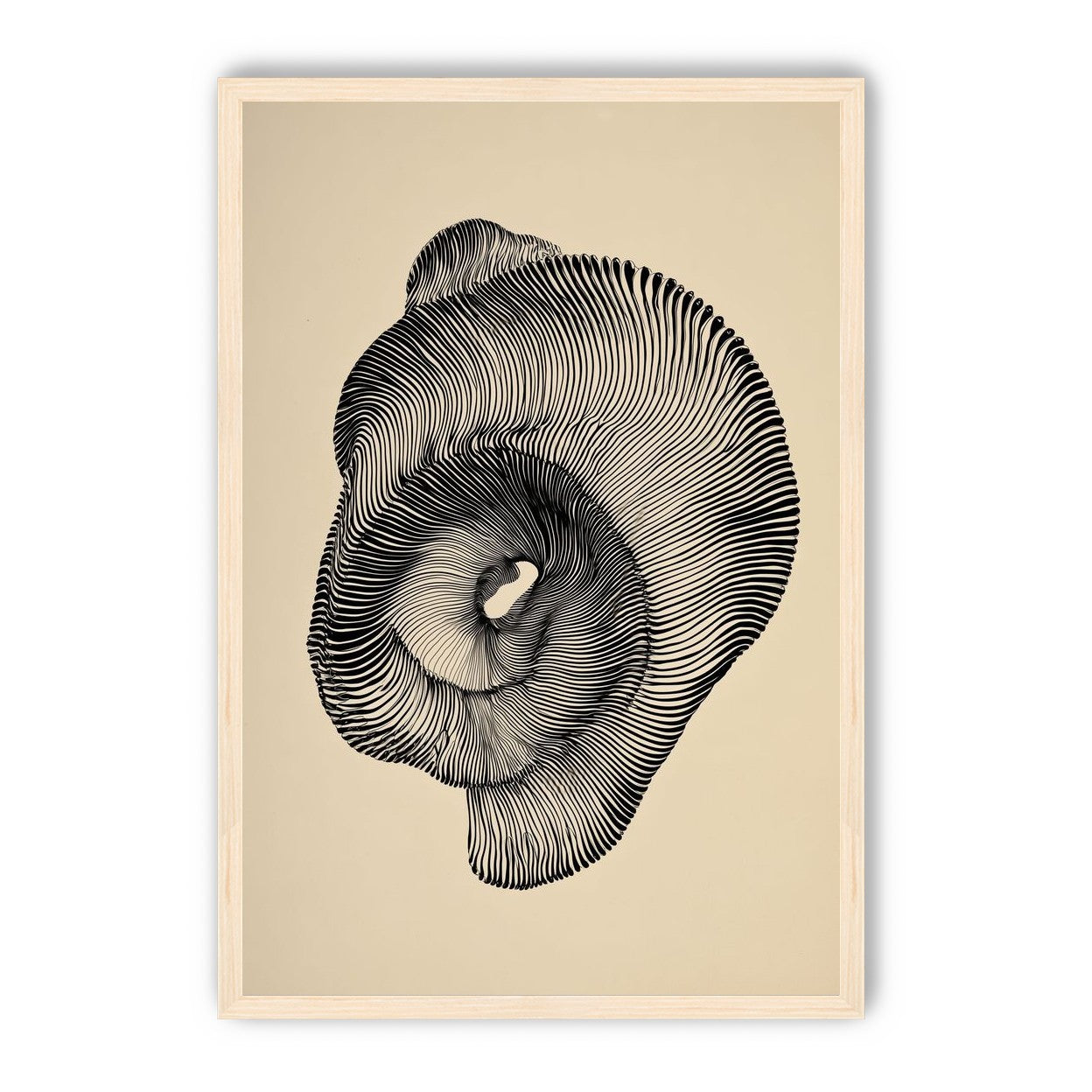 A hollow within black lines