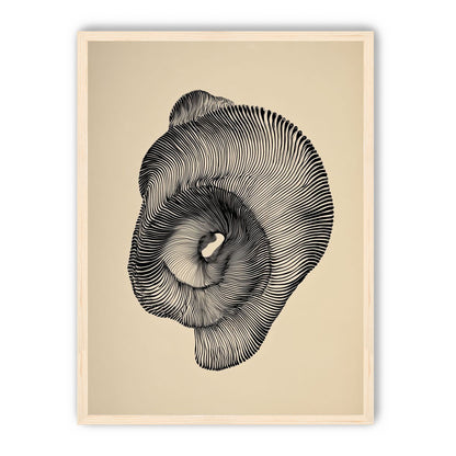 A hollow within black lines
