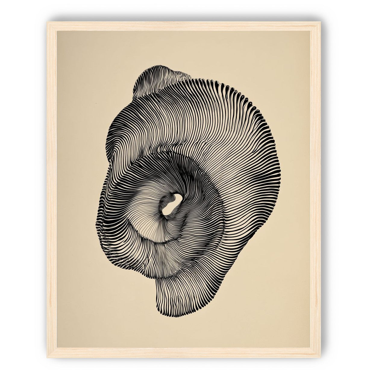 A hollow within black lines